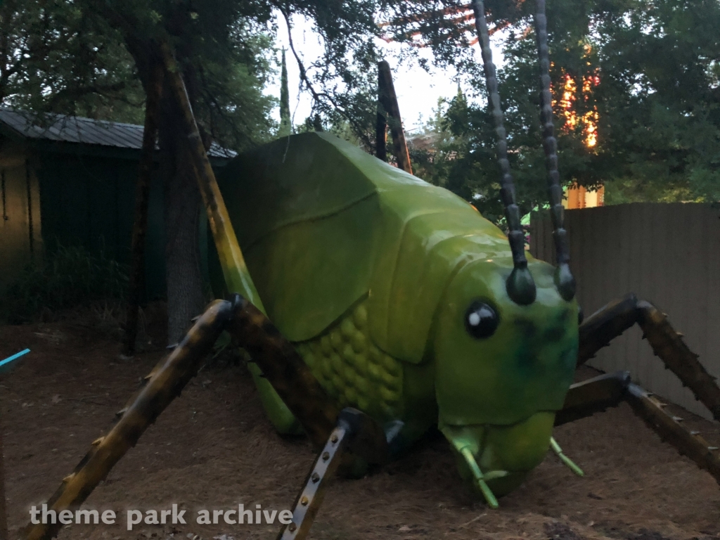 Mega Bugs at Wild Adventures