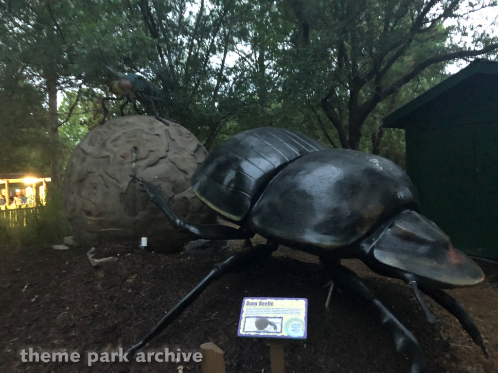 Mega Bugs at Wild Adventures