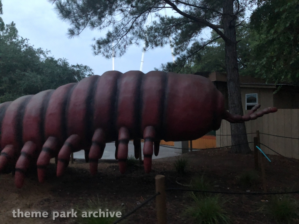 Mega Bugs at Wild Adventures