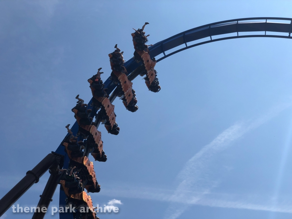 Fenix at Toverland