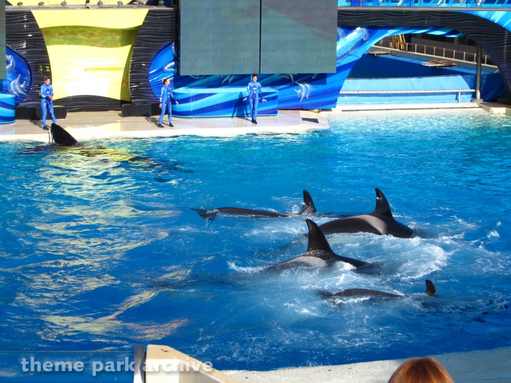 Shamu Stadium at SeaWorld San Diego