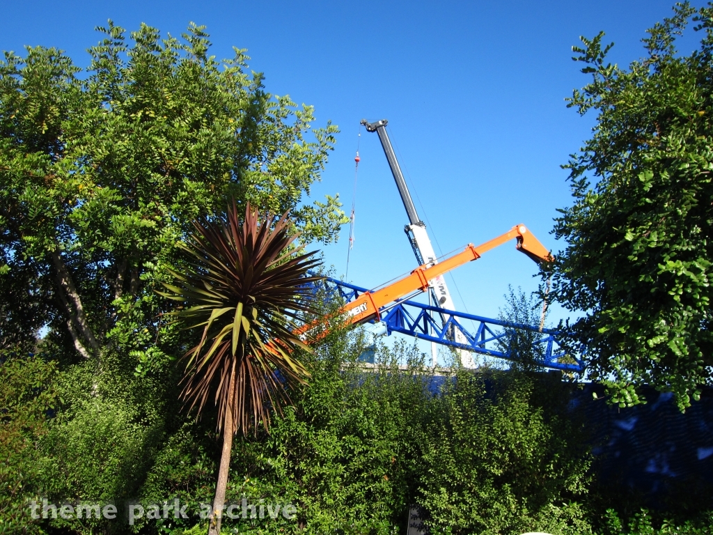 Manta at SeaWorld San Diego