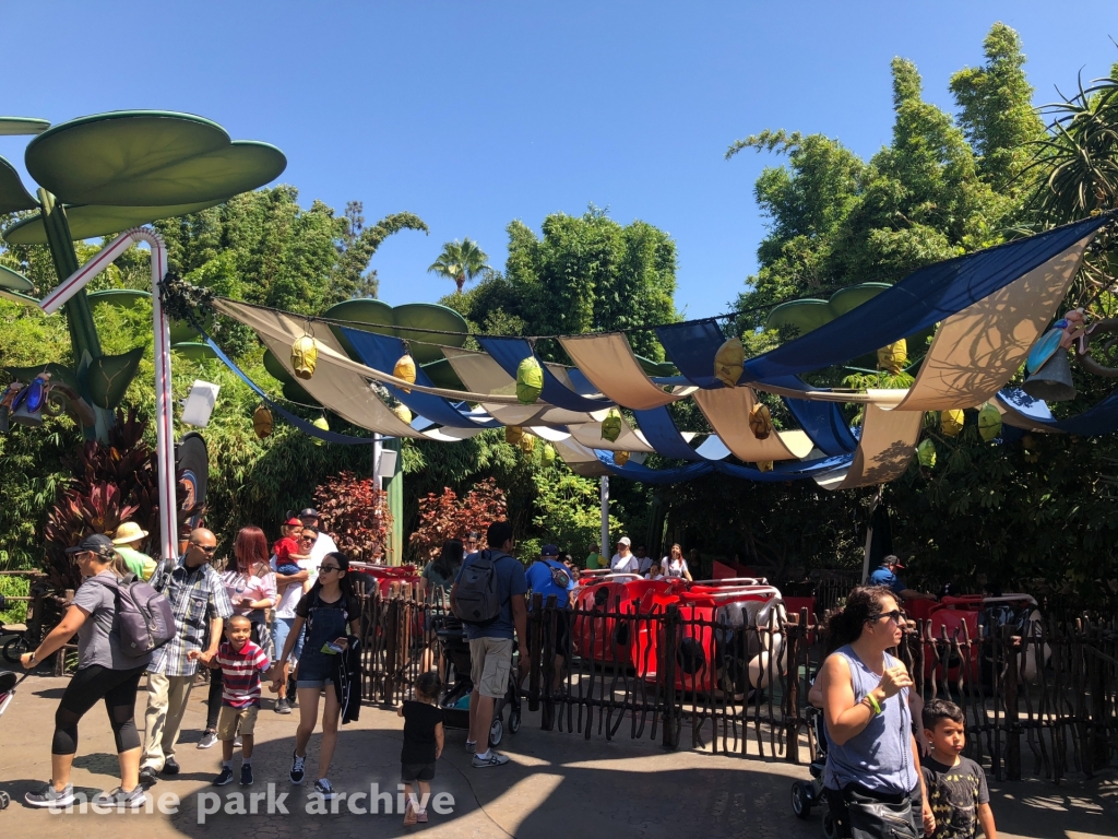 a bugs land at Downtown Disney Anaheim