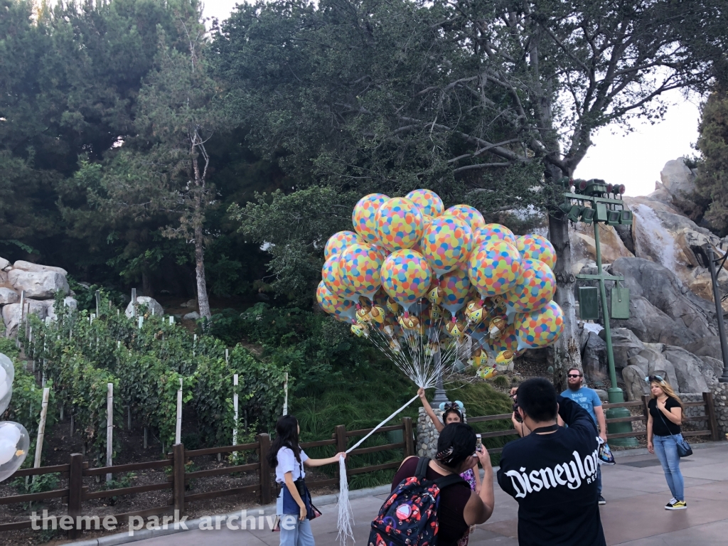 Grizzly Peak at Downtown Disney Anaheim