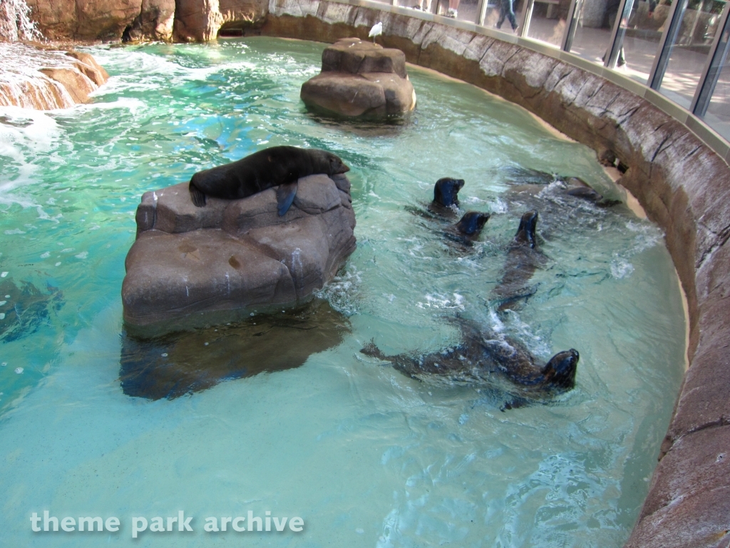 Pacific Point at SeaWorld San Diego