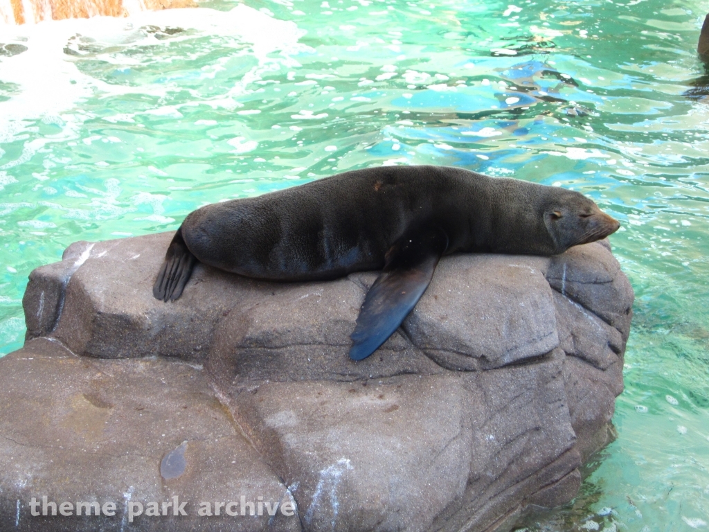 Pacific Point at SeaWorld San Diego