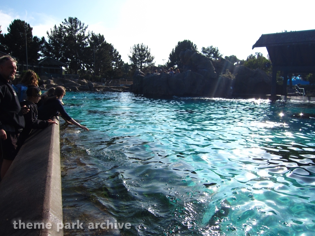 Dolphin Point at SeaWorld San Diego