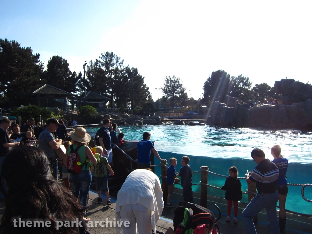 Dolphin Point at SeaWorld San Diego