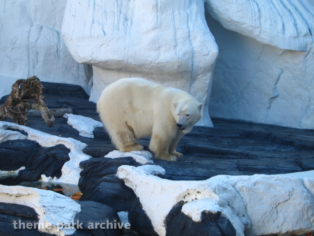 Wild Arctic at SeaWorld San Diego