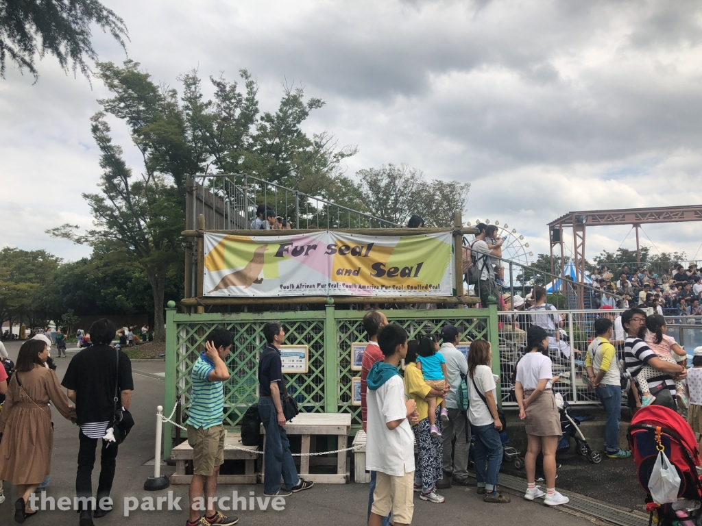 Fur Seals and Seals at Tobu Zoo