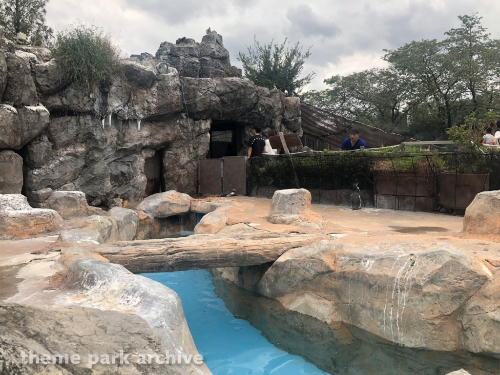 Penguin Land at Tobu Zoo