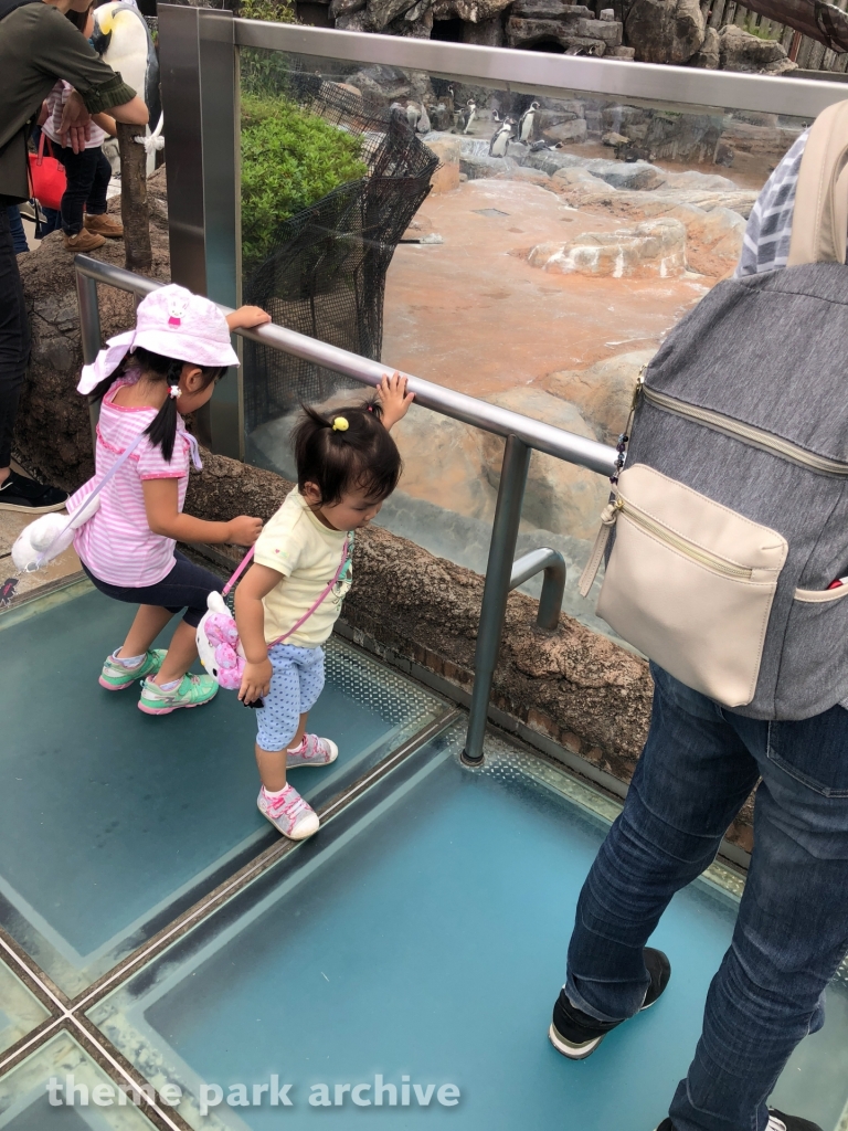 Penguin Land at Tobu Zoo