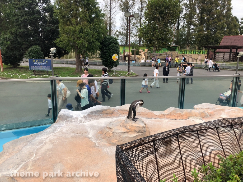 Penguin Land at Tobu Zoo