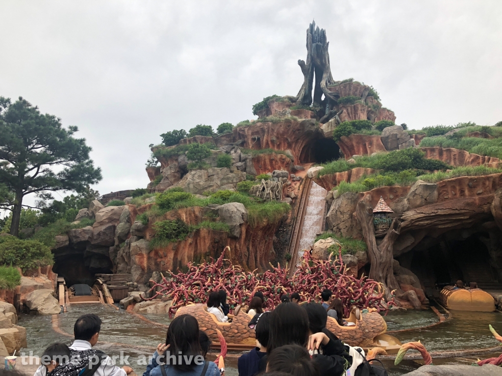 Splash Mountain at Tokyo Disneyland