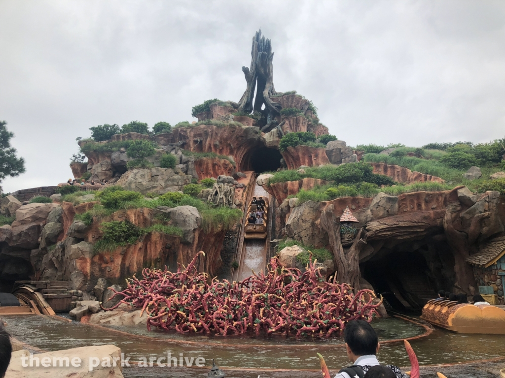 Splash Mountain at Tokyo Disneyland