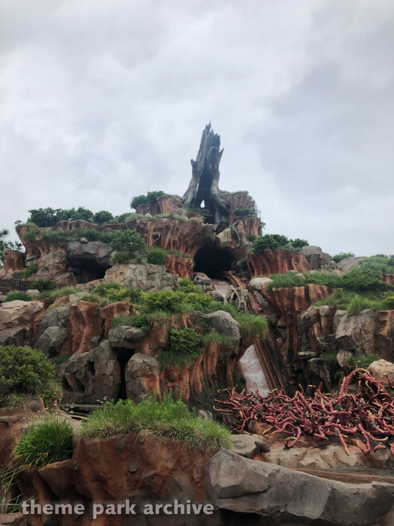 Splash Mountain at Tokyo Disneyland