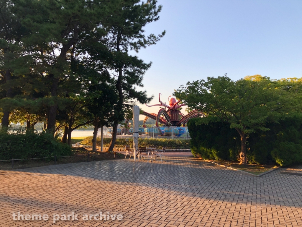 Octopus at Yokohama Hakkeijima Sea Paradise