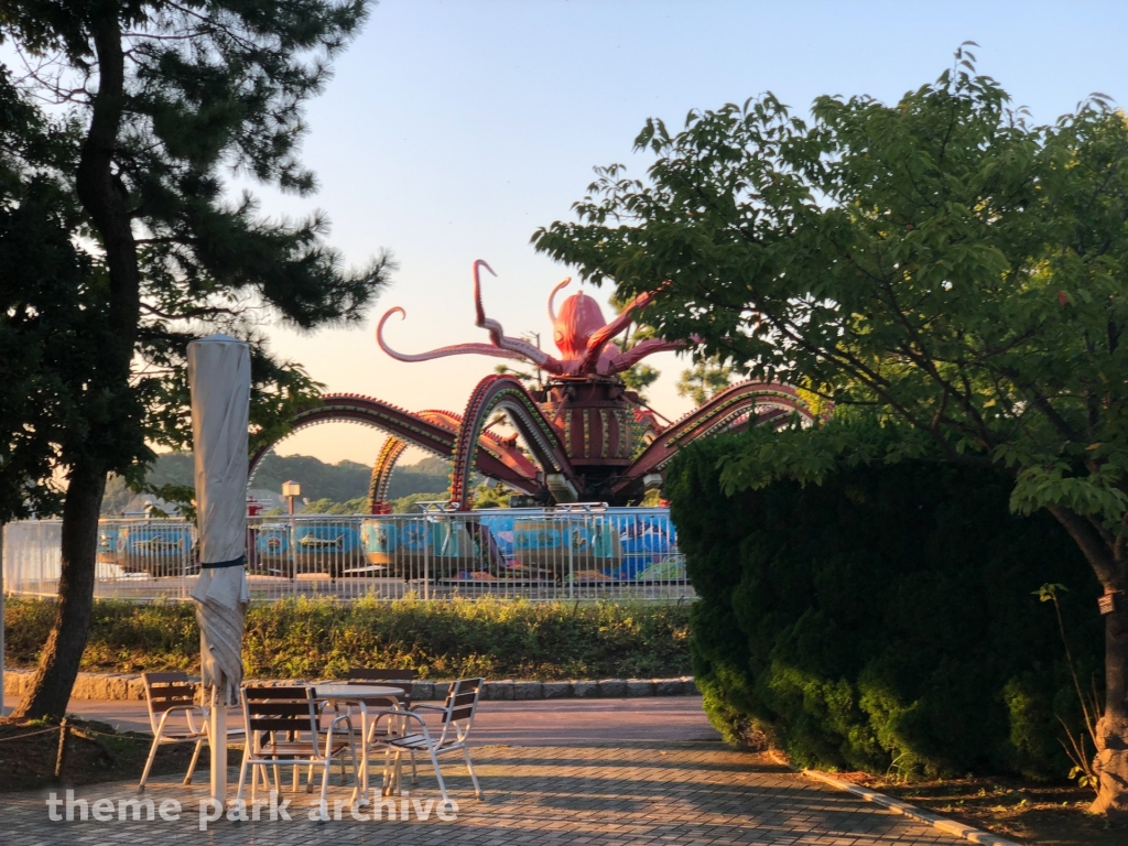 Octopus at Yokohama Hakkeijima Sea Paradise