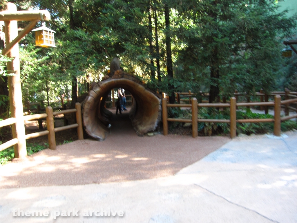 Redwood Creek Challenge Trail at Disney California Adventure