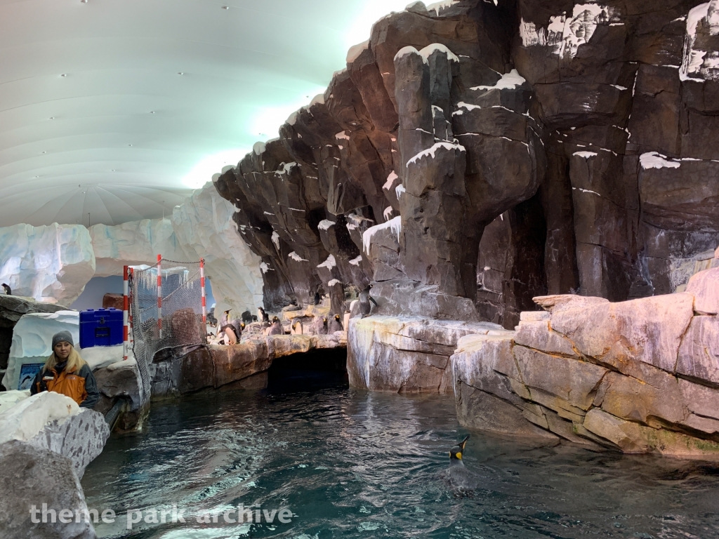 Antarctica Empire of the Penguin at SeaWorld Orlando