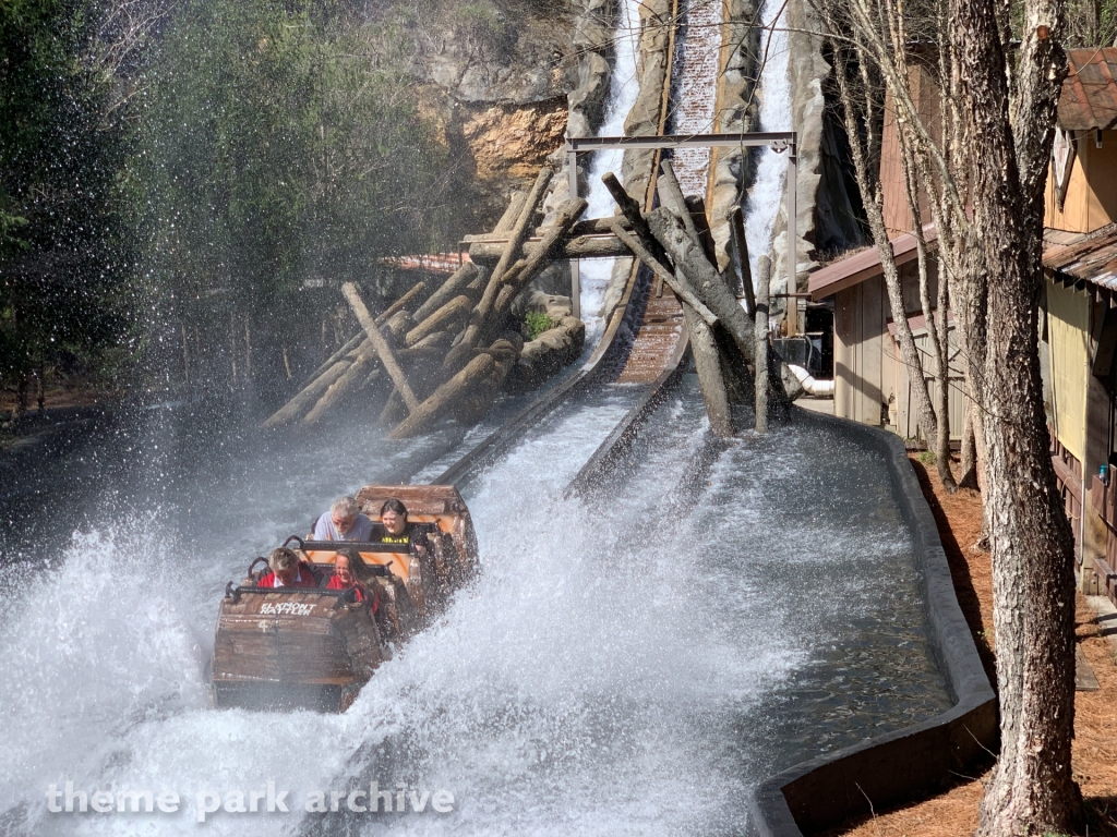 Daredevil Falls at Dollywood