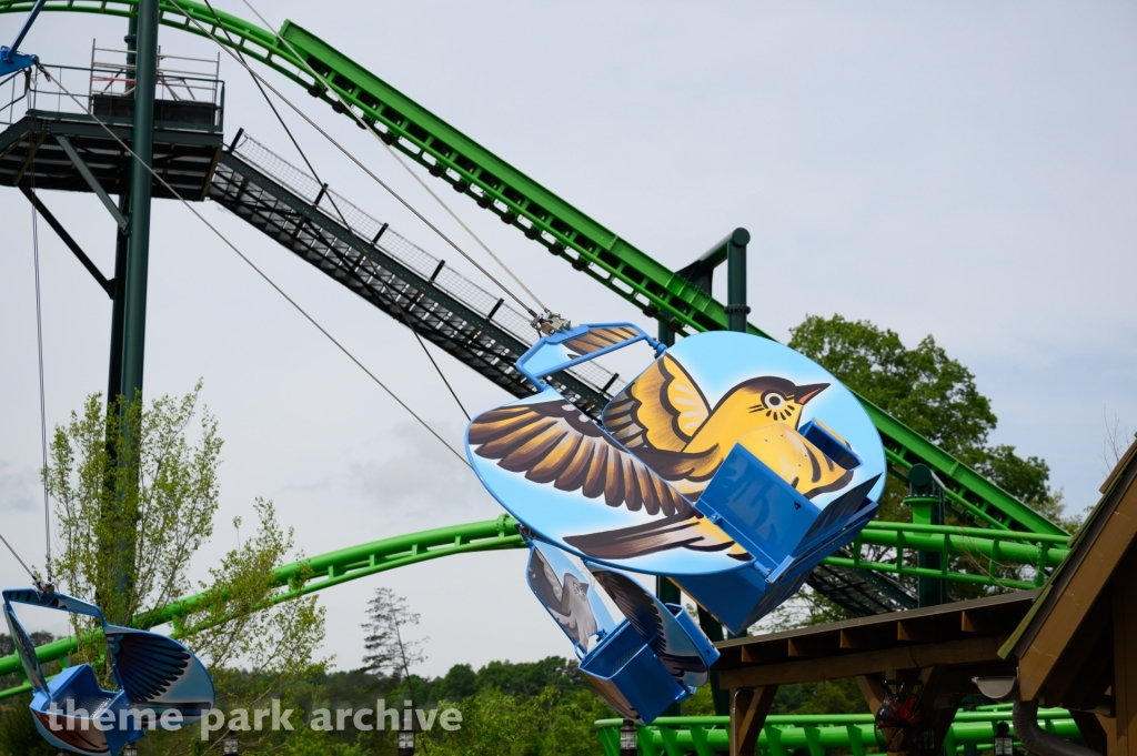 The Mad Mockingbird at Dollywood