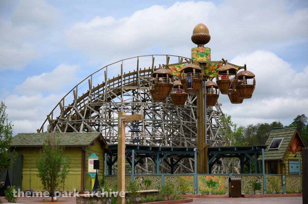 Treetop Tower at Dollywood