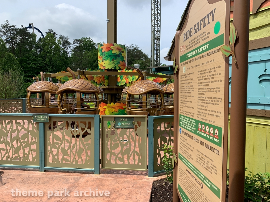 Treetop Tower at Dollywood