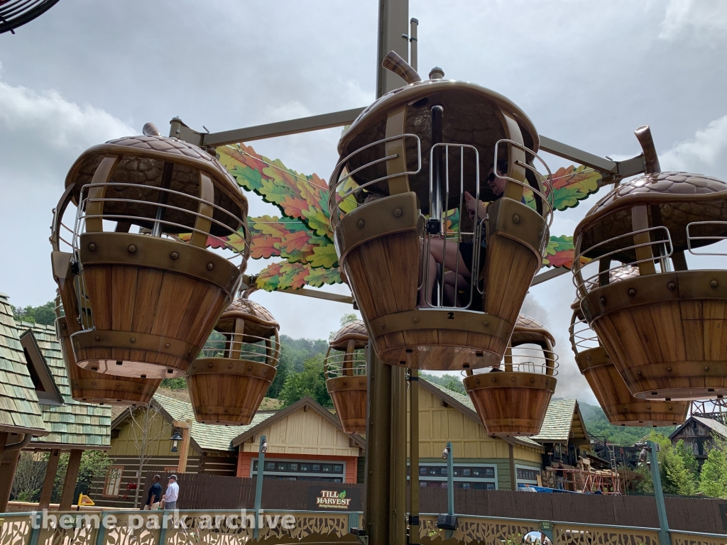 Treetop Tower at Dollywood