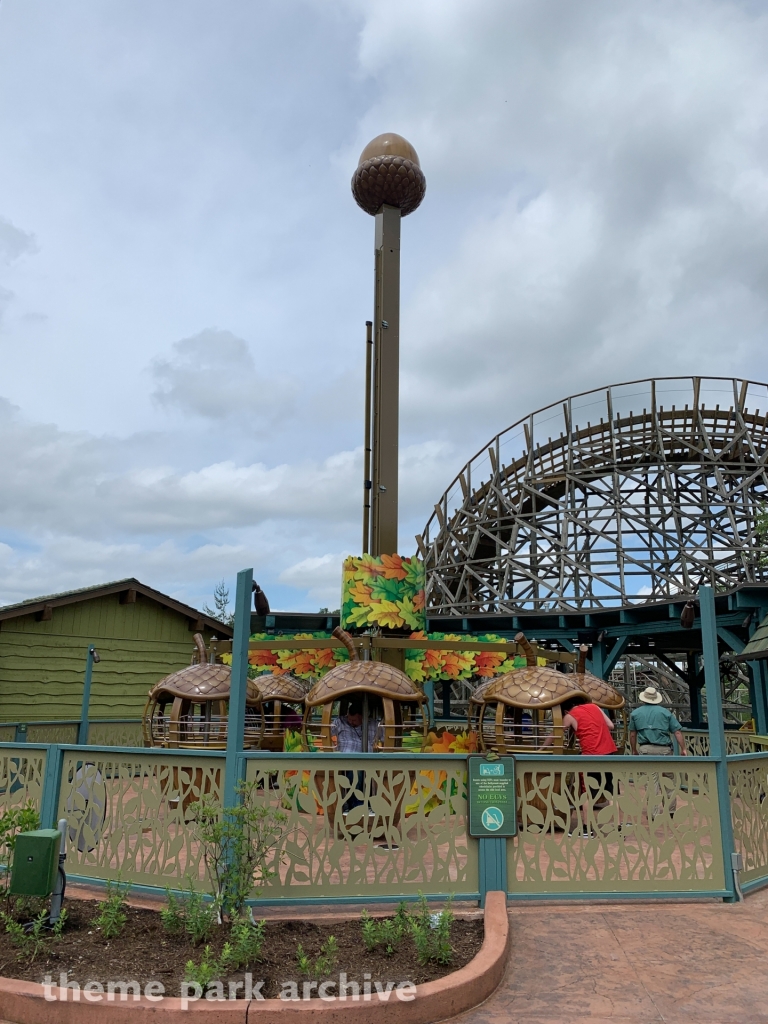 Treetop Tower at Dollywood