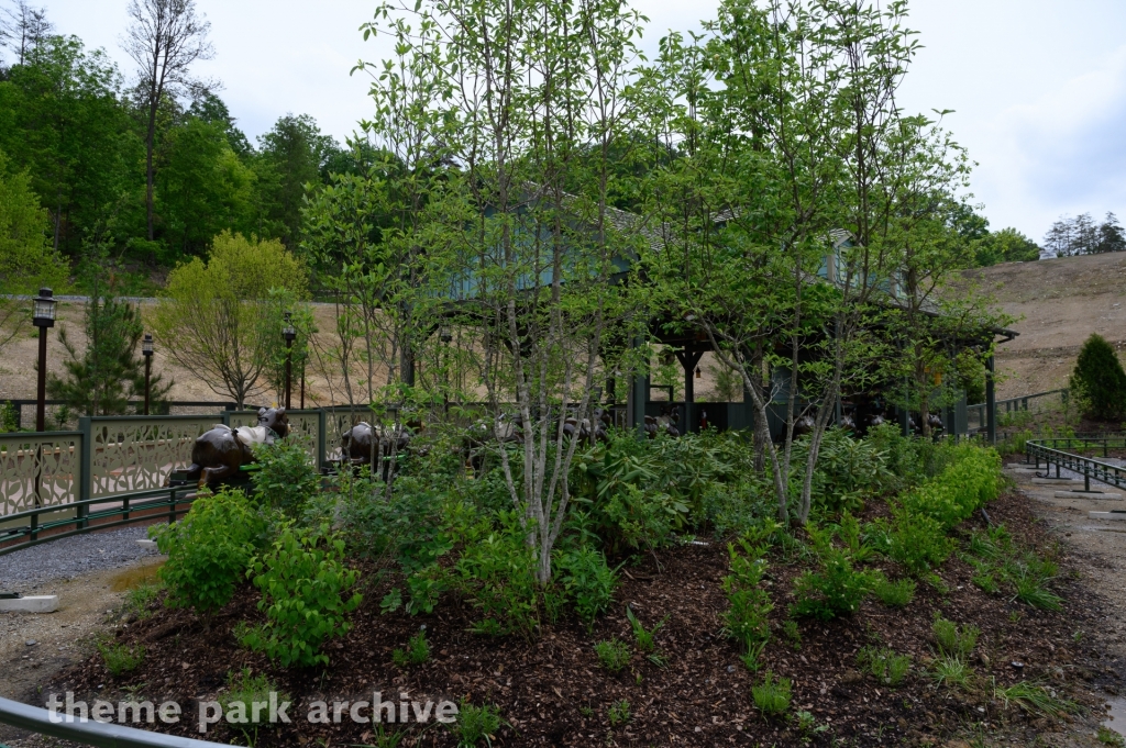 Black Bear Trail at Dollywood