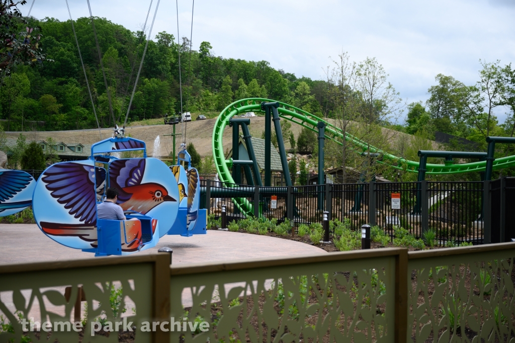 The Mad Mockingbird at Dollywood