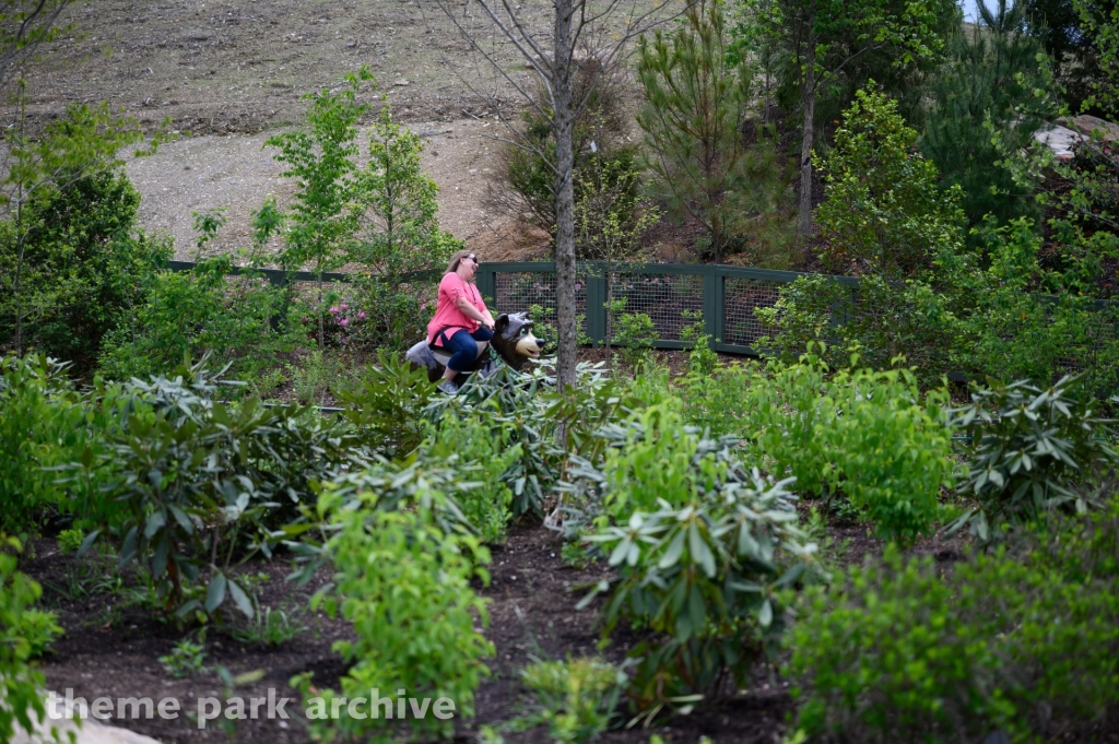 Black Bear Trail at Dollywood