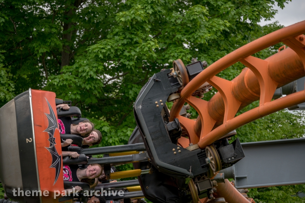 Bat at Kings Island