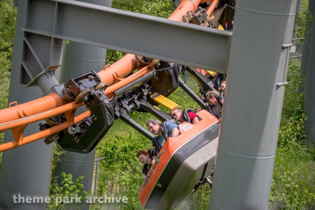 Bat at Kings Island