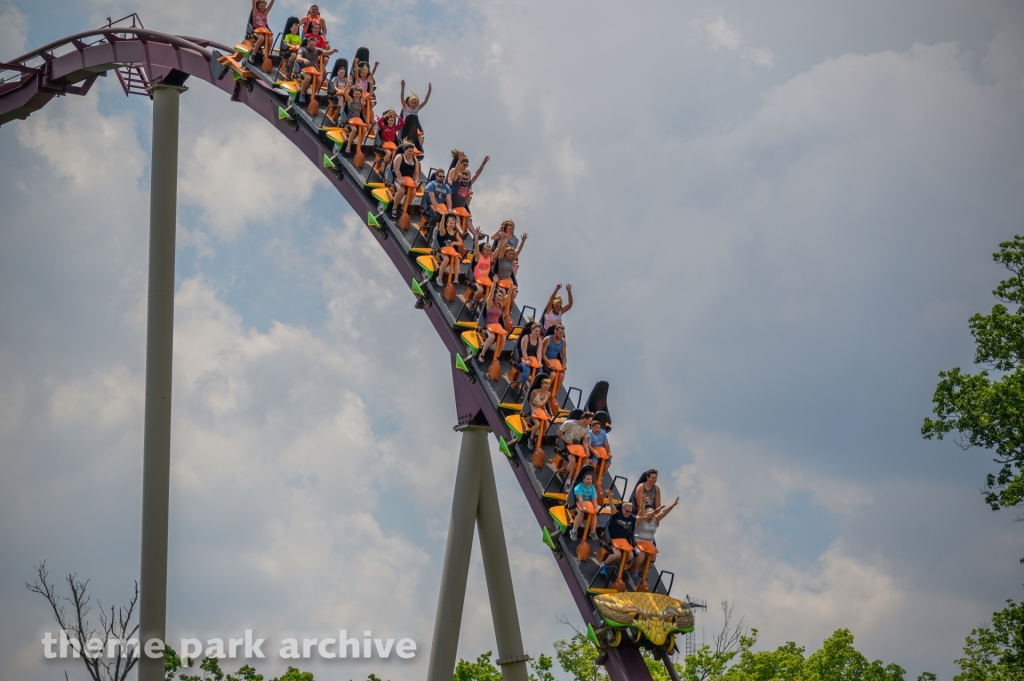 Diamondback at Kings Island