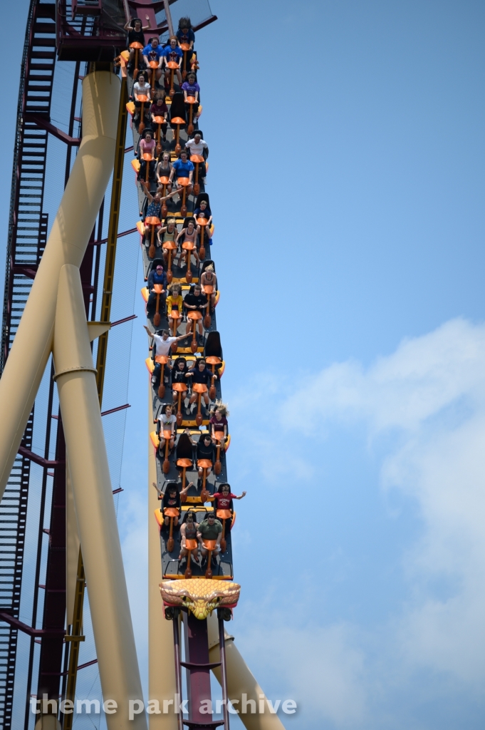 Diamondback at Kings Island