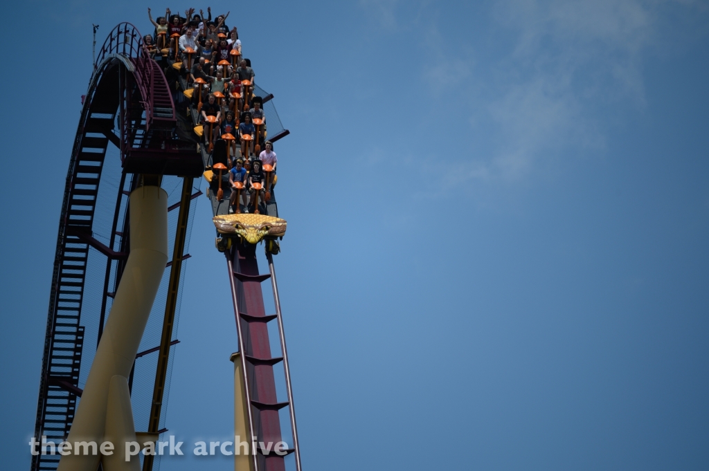 Diamondback at Kings Island