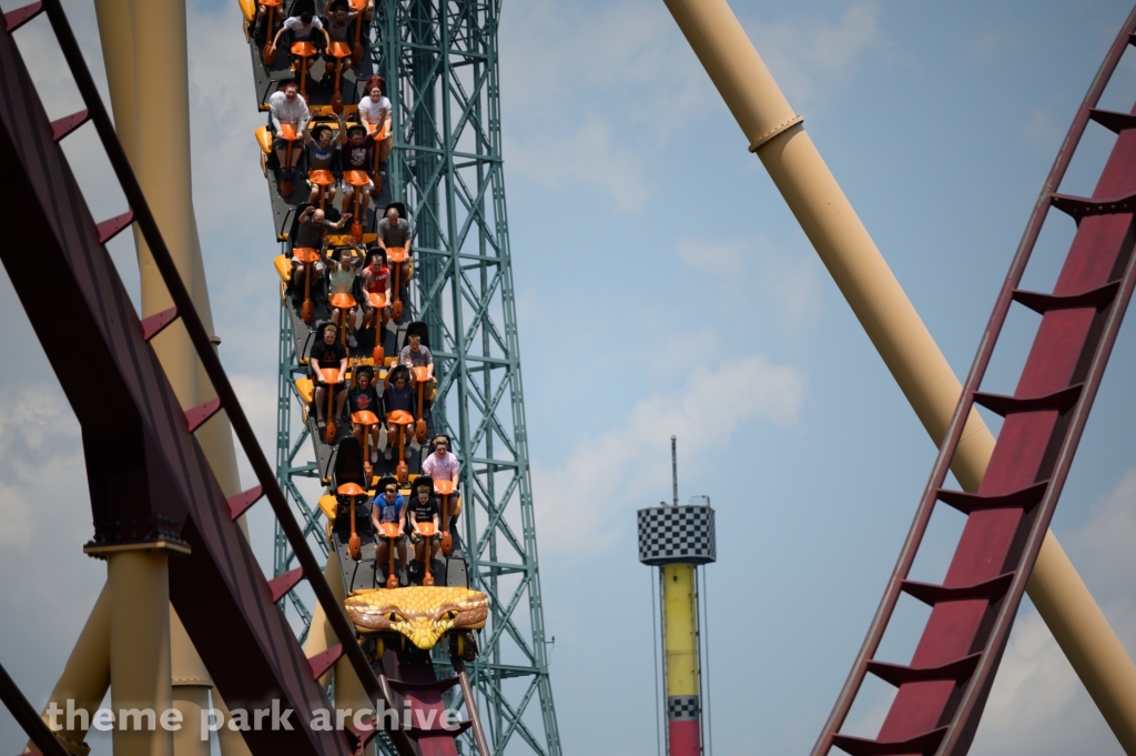 Diamondback at Kings Island