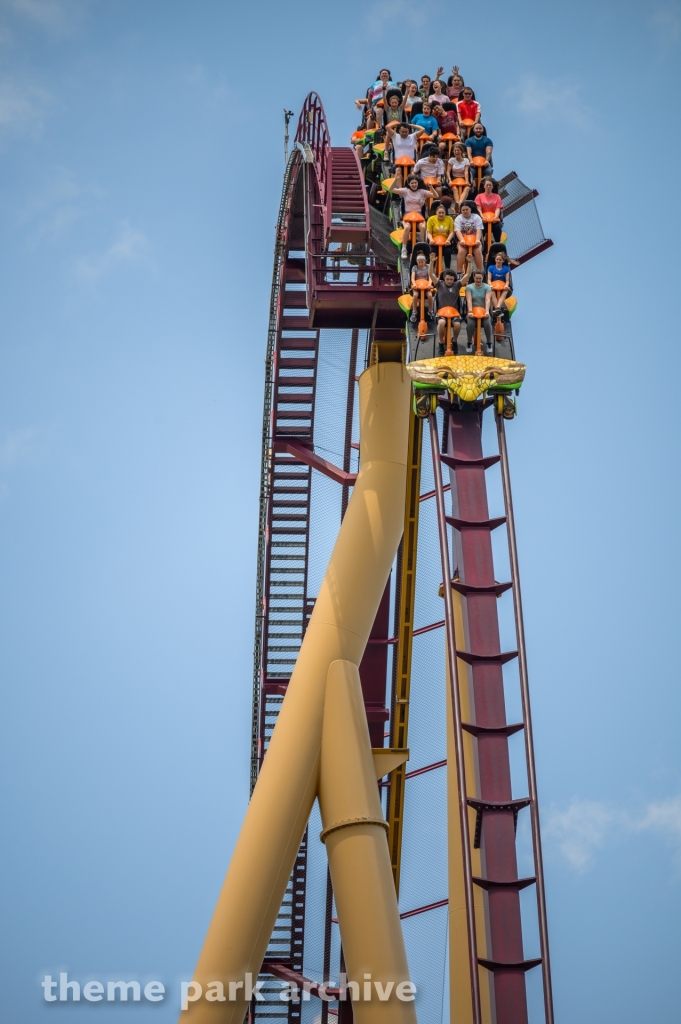 Diamondback at Kings Island