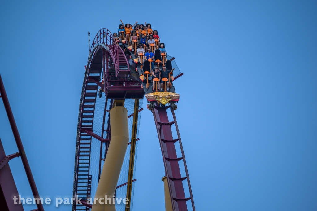 Diamondback at Kings Island