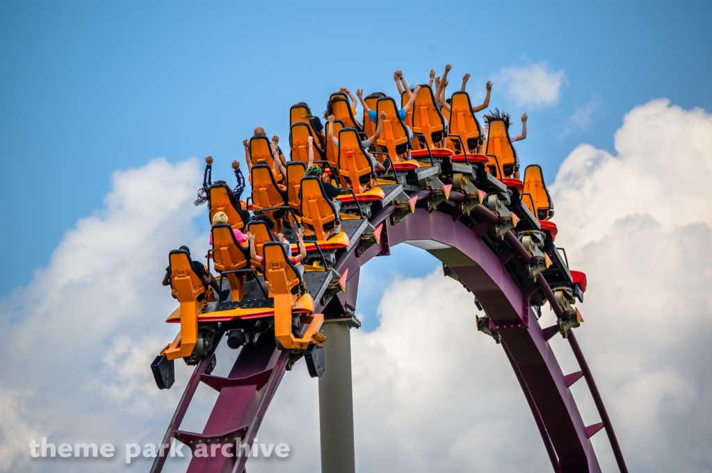 Diamondback at Kings Island