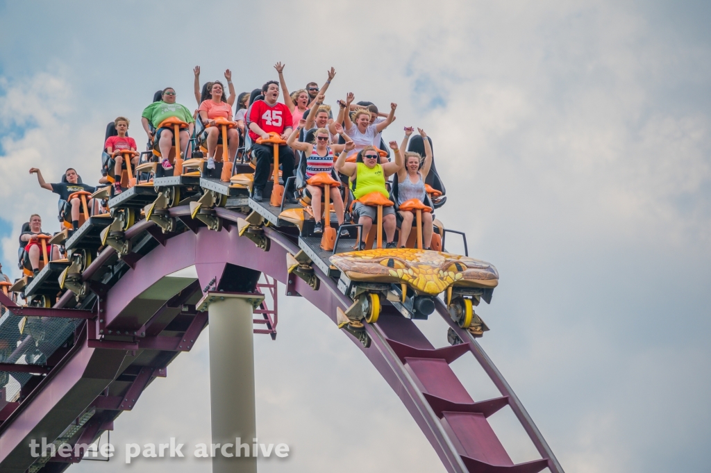 Diamondback at Kings Island