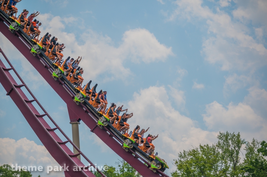 Diamondback at Kings Island