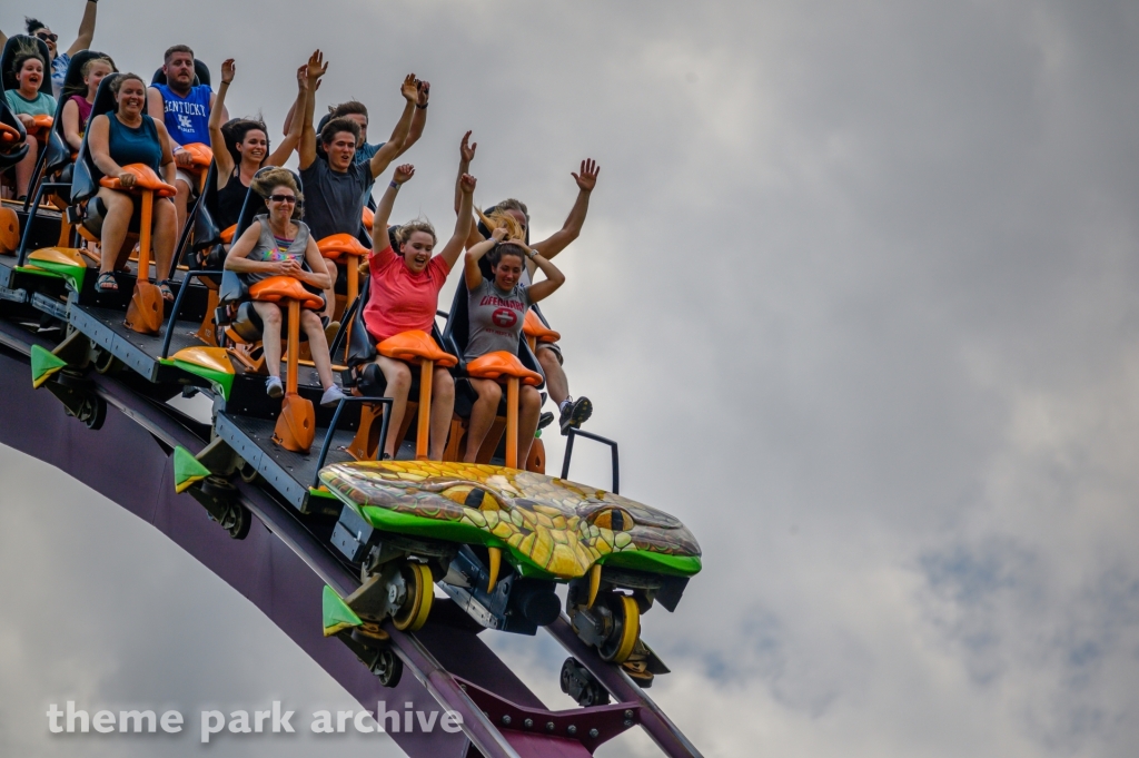 Diamondback at Kings Island