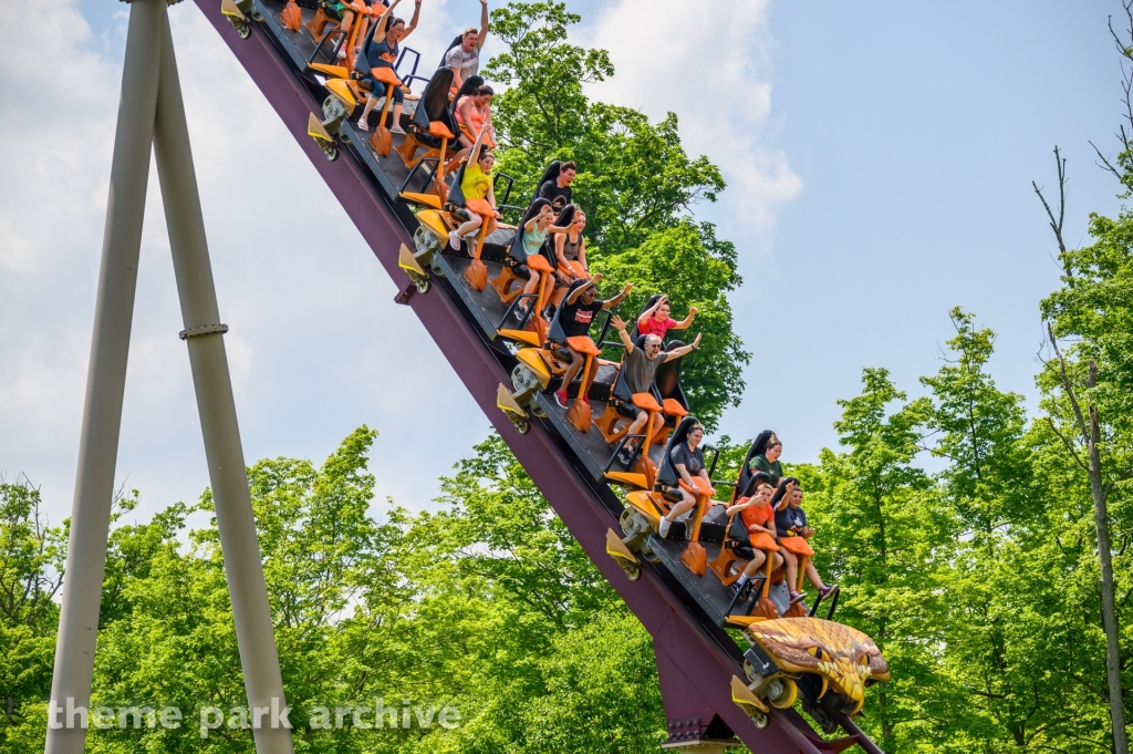 Diamondback at Kings Island