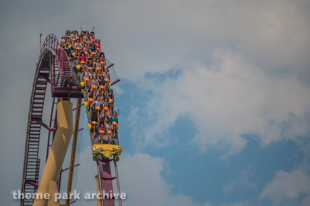 Diamondback at Kings Island