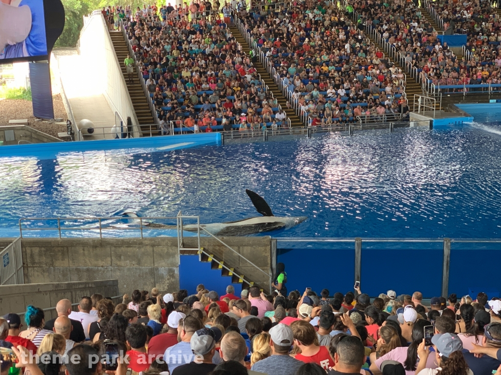 Shamu Theater at SeaWorld San Antonio