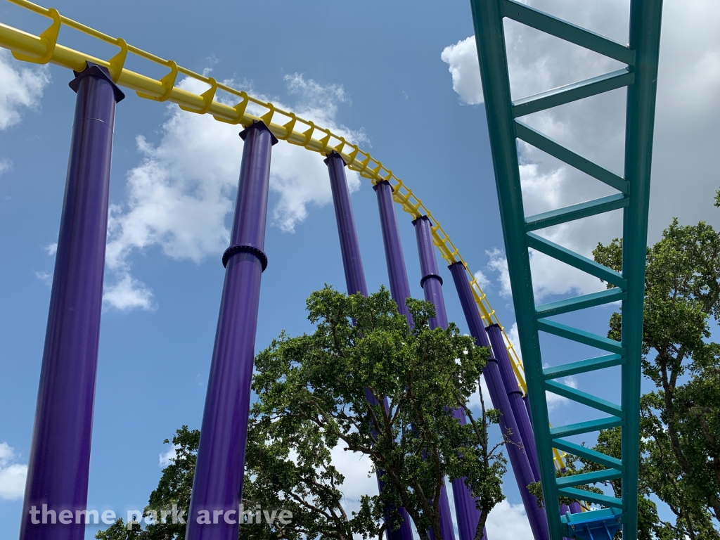 Steel Eel at SeaWorld San Antonio