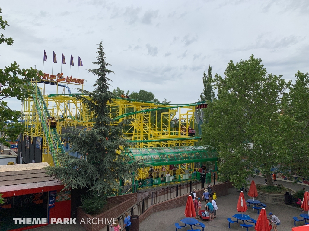 Wild Mouse at Lagoon